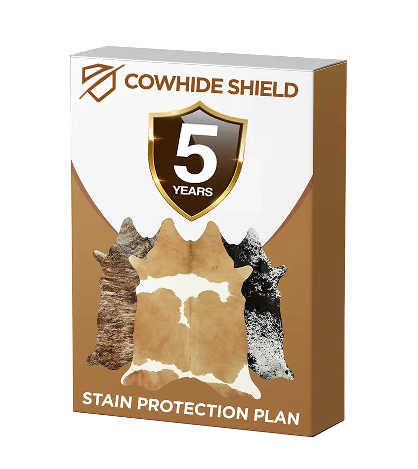 5 Year Stain Protection Plan