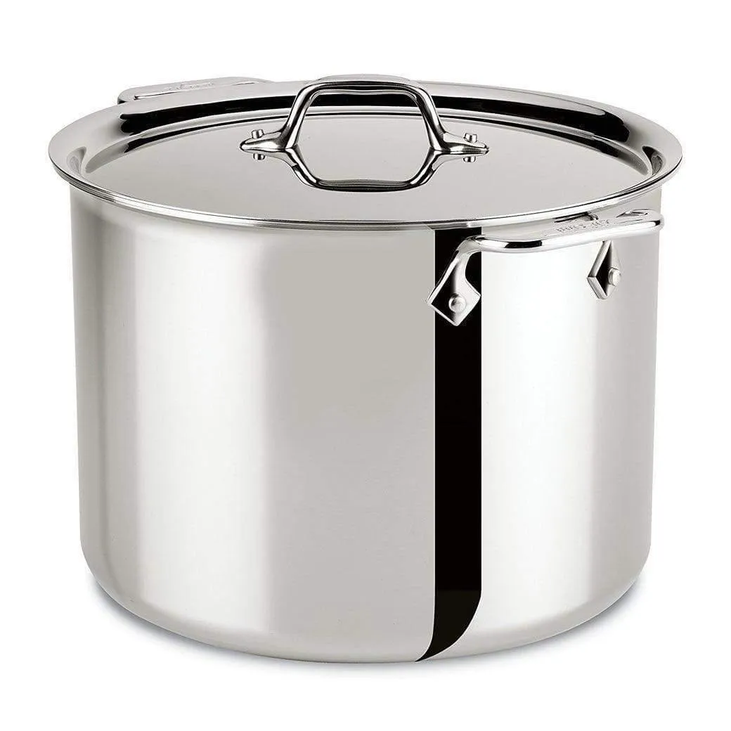 All-Clad Stainless Stockpot with Lid