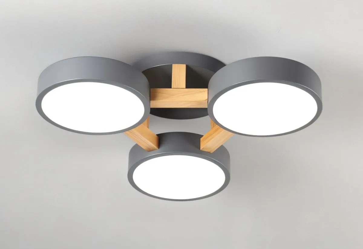 Ashane Ceiling Light