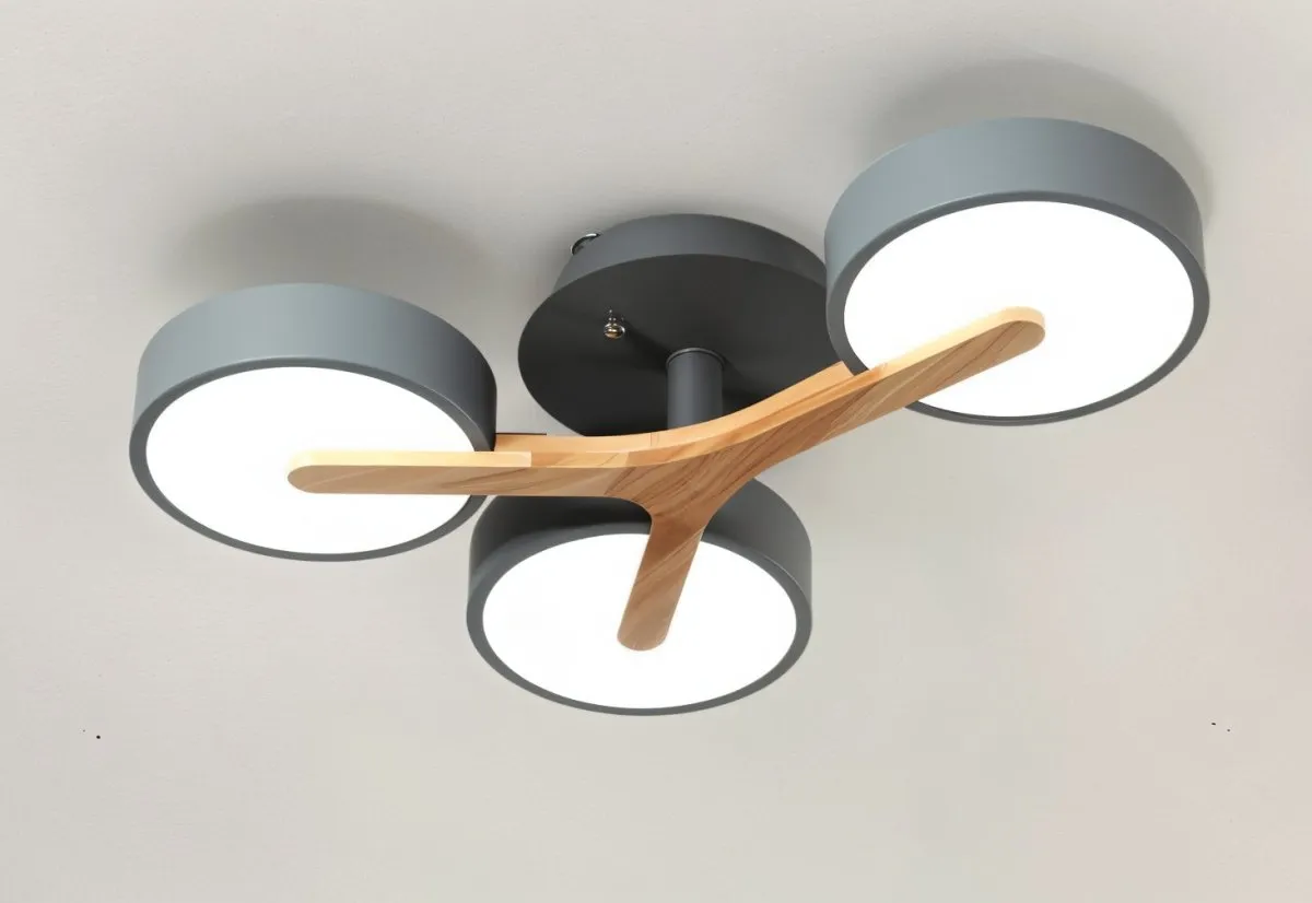 Ashane Ceiling Light