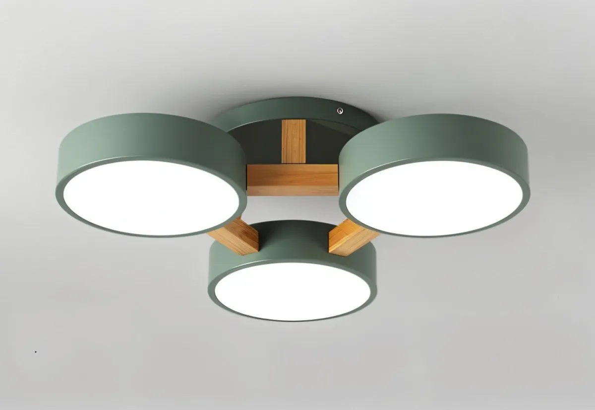 Ashane Ceiling Light