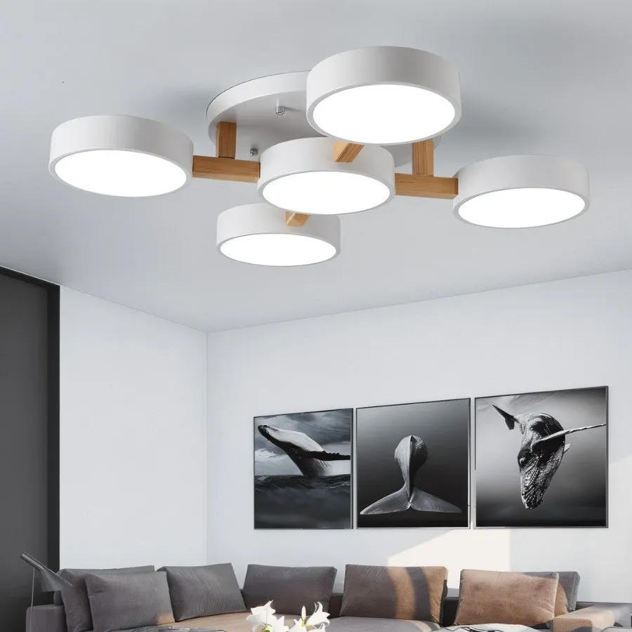 Ashane Ceiling Light