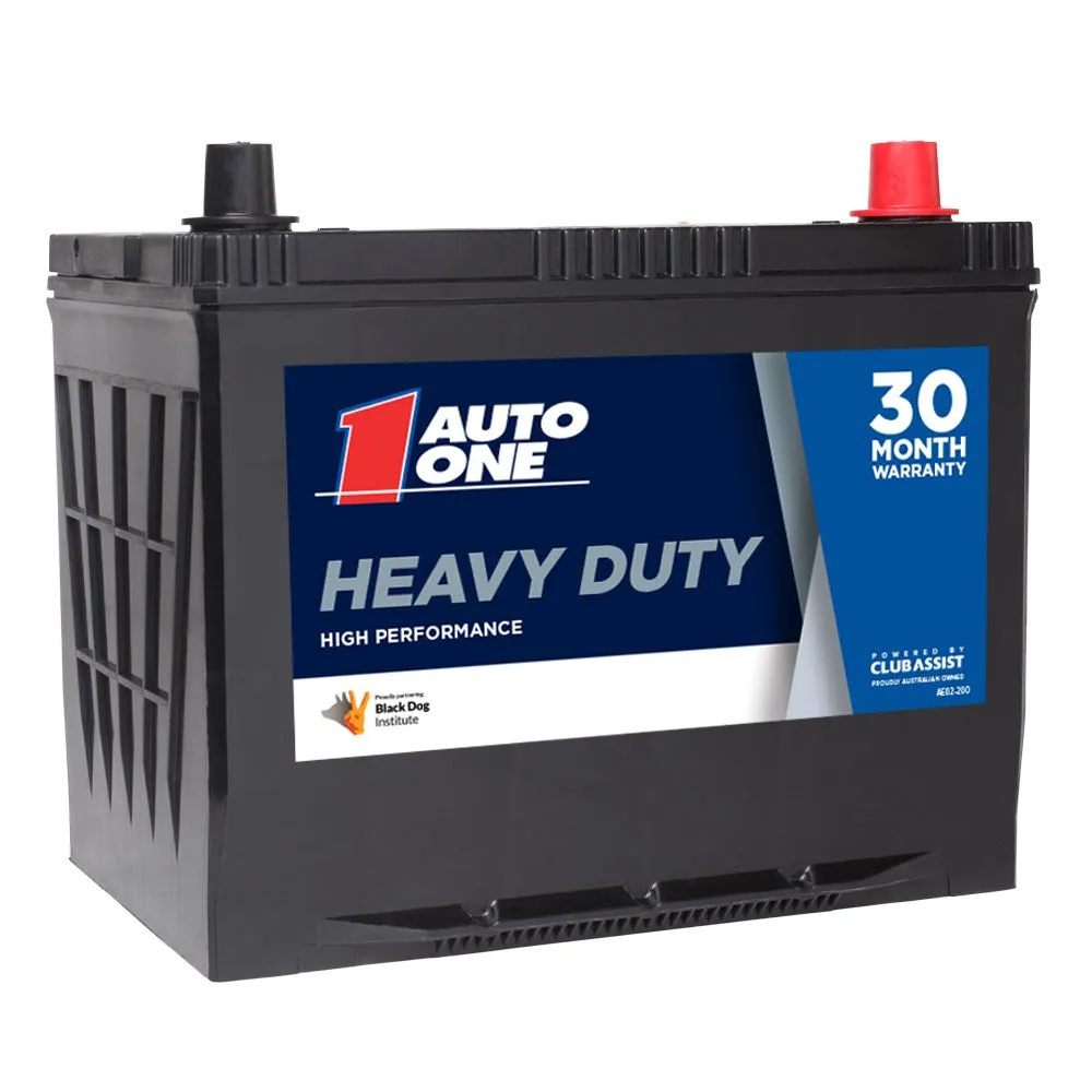 Auto One 45041 Heavy Duty Calcium Maintenance-Free 12V Battery (NS70L Size, 730CCA, 133RC, 74Ah)