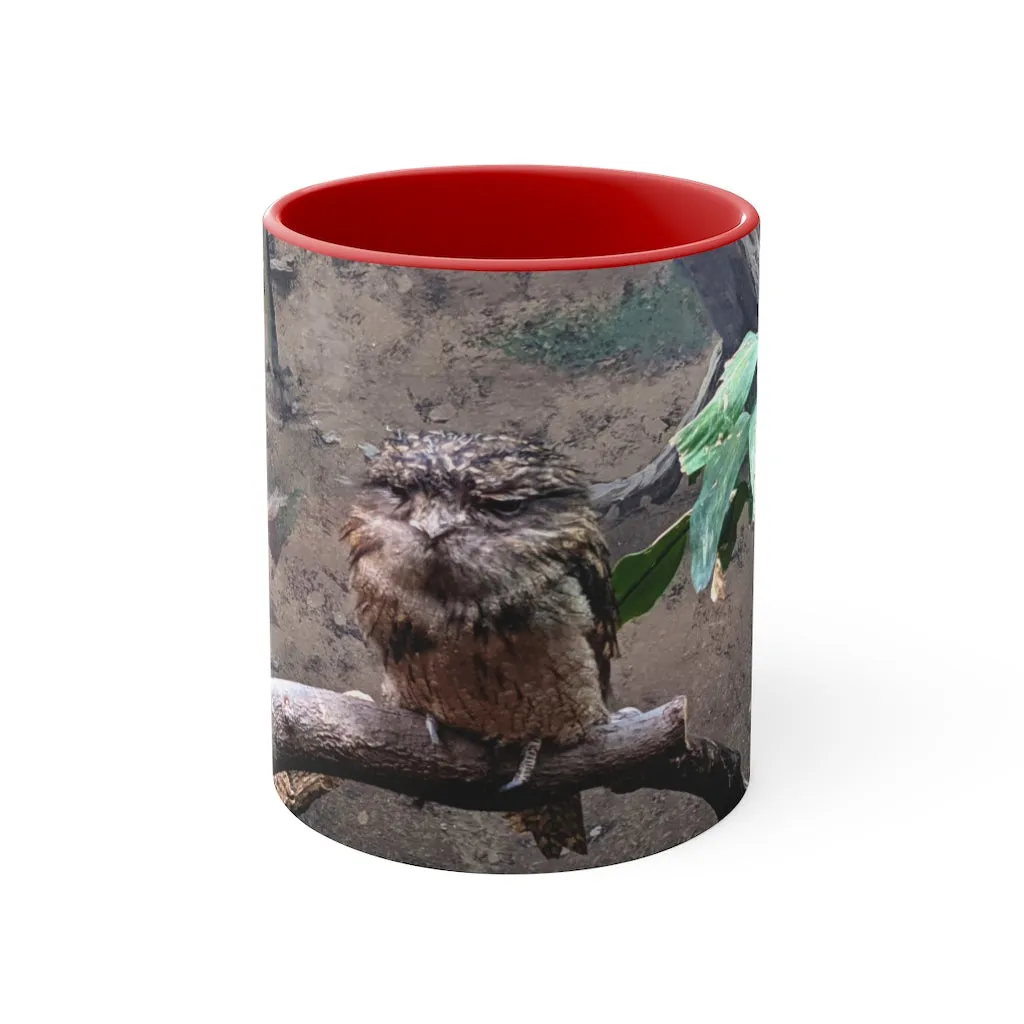 Bird Owl Accent Mug