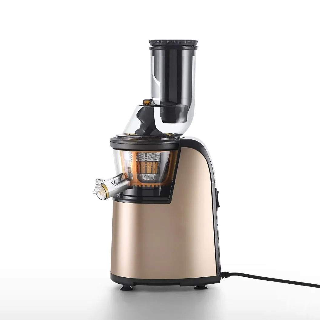 Empava 150W Cold Press Slow Juicer BLDR01