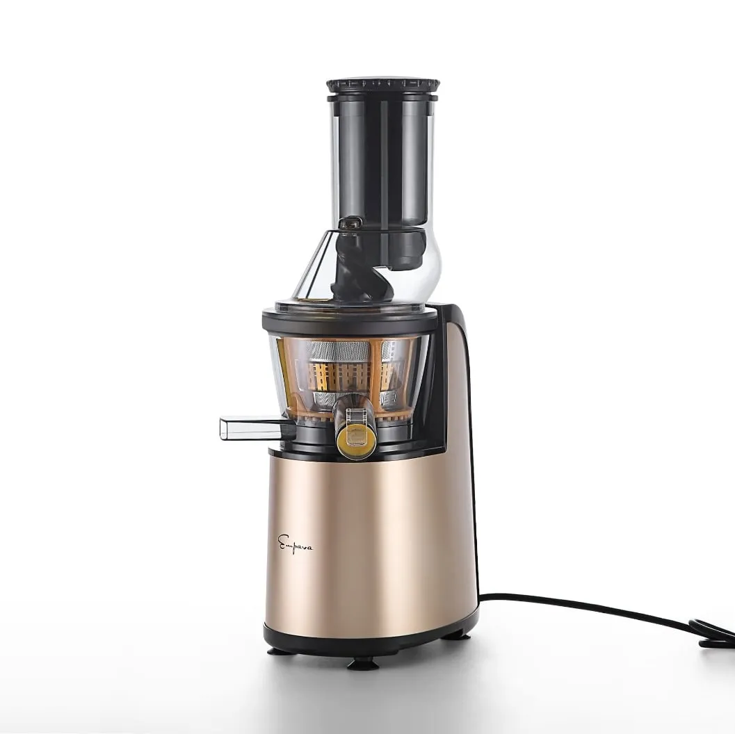 Empava 150W Cold Press Slow Juicer BLDR01