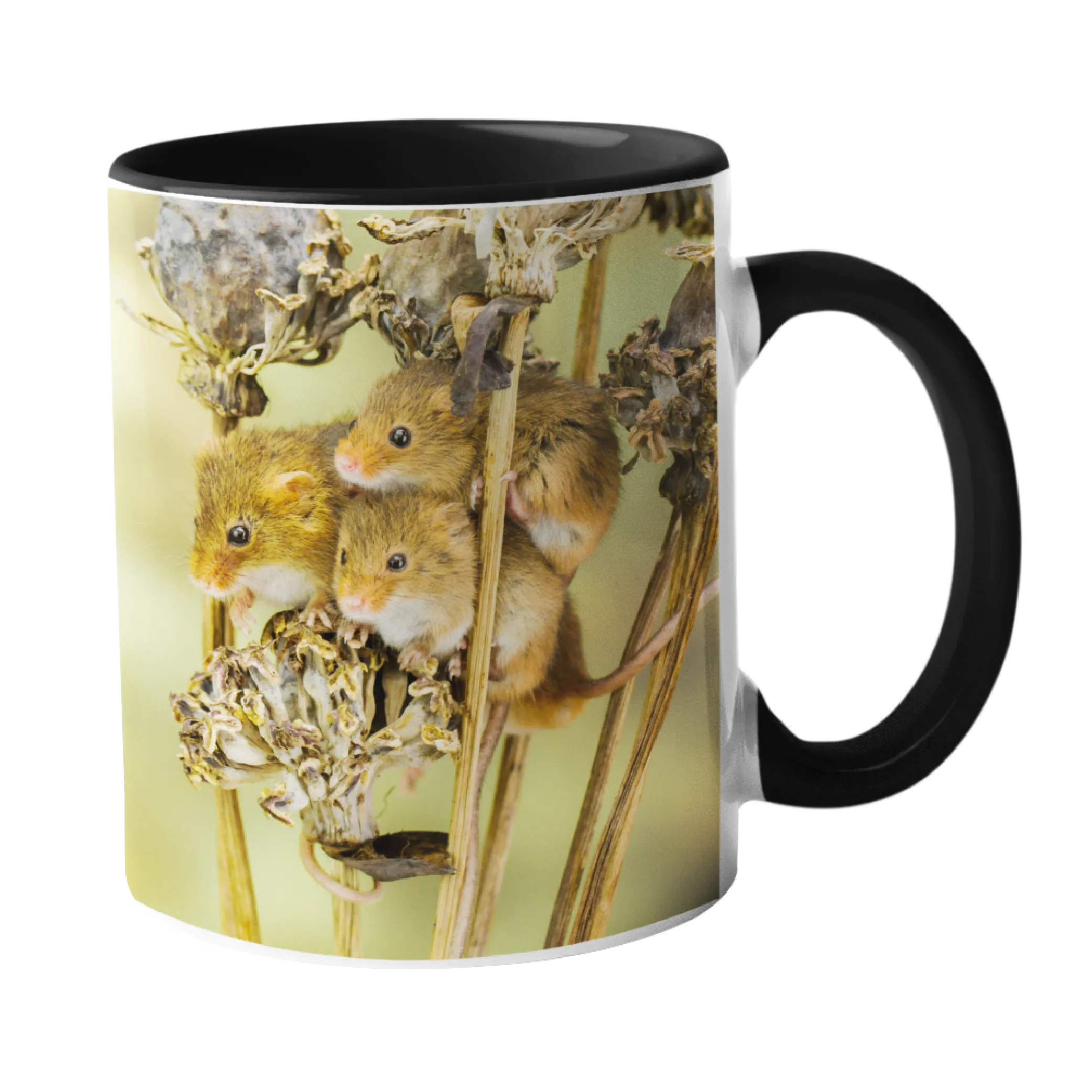 Harvest Mouse Mug