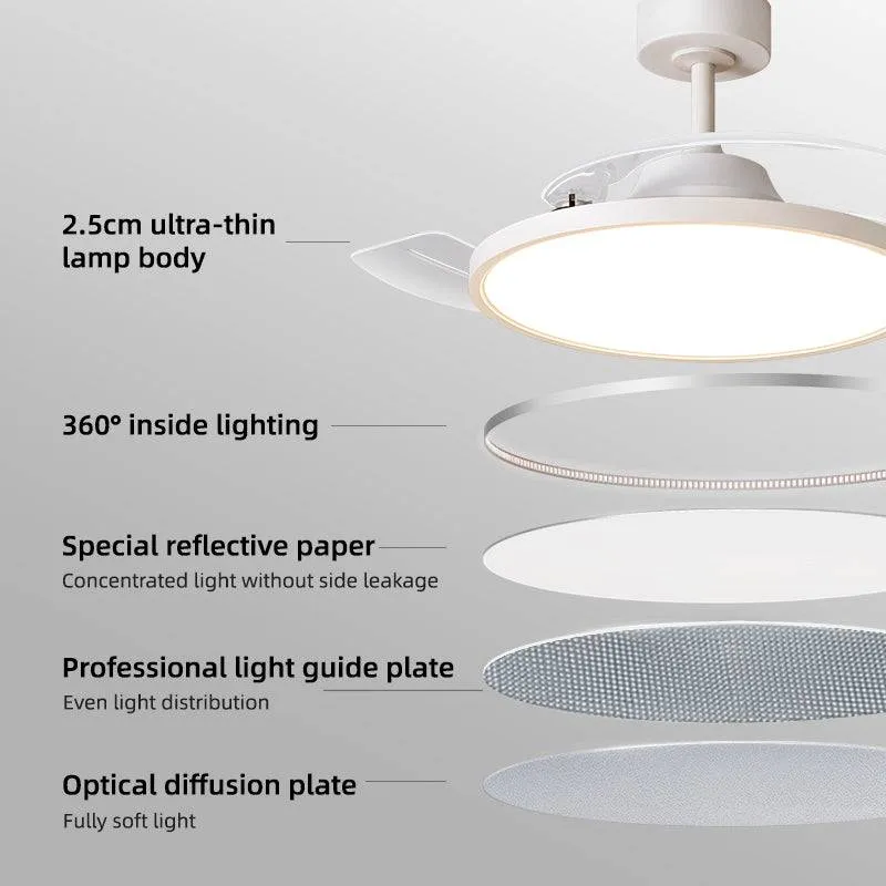 Homelist Full Spectrum Eye-Care Ceiling Fan Lights