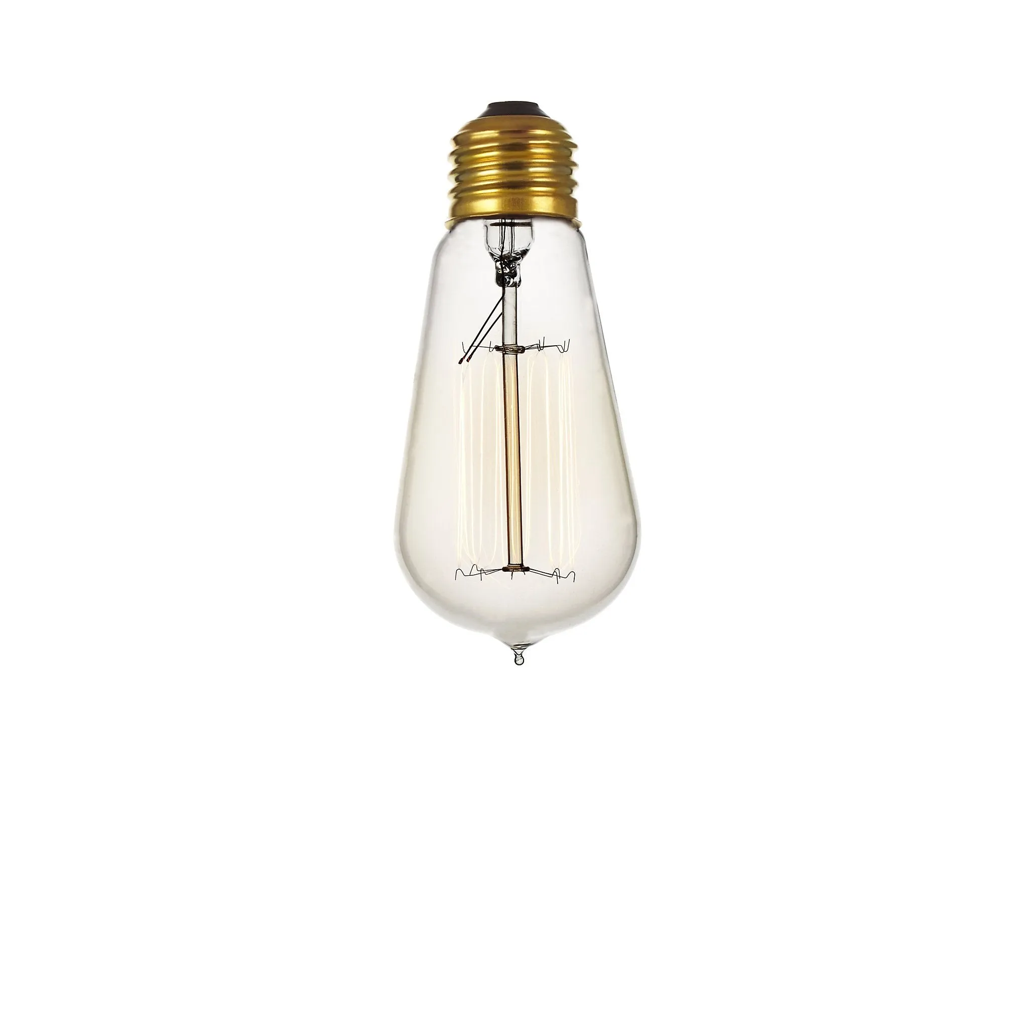 Incandescent Edison Bulb (120/240V)