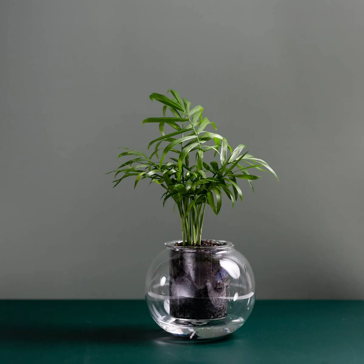 Medium Self-watering Planter