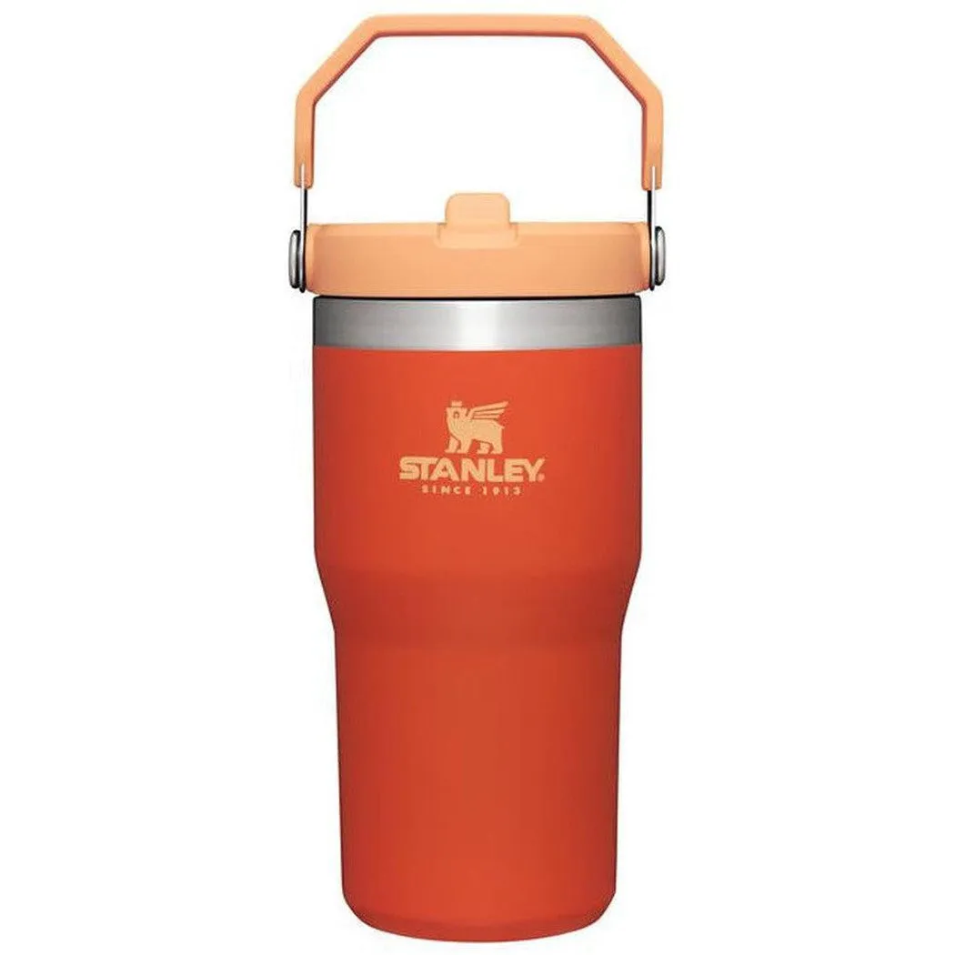 Stanley The IceFlow Flip Straw Tumbler 20oz