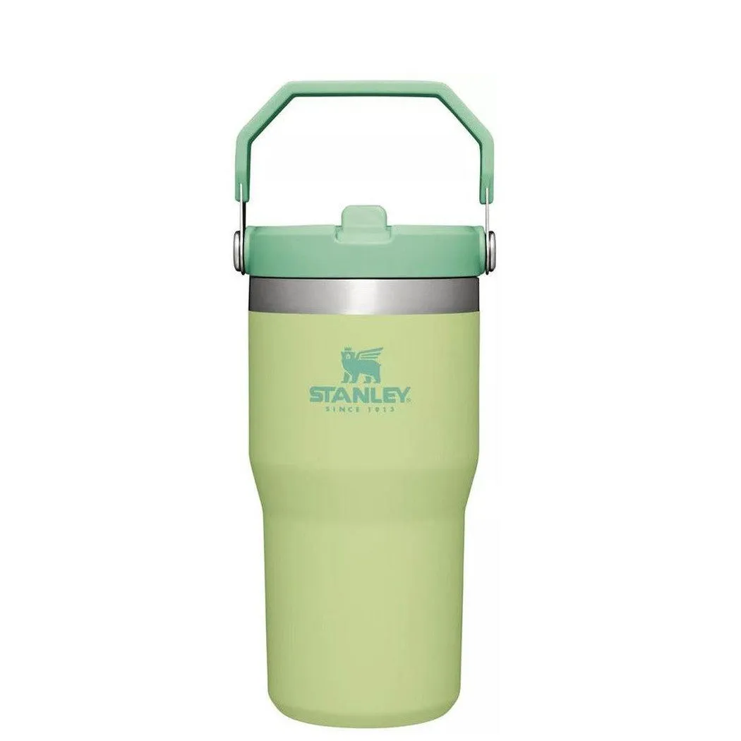 Stanley The IceFlow Flip Straw Tumbler 20oz