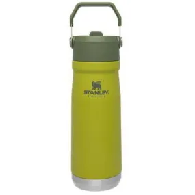 Stanley The IceFlow Flip Straw Water Bottle 22oz