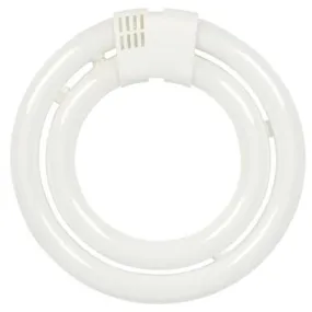 Westinghouse 3734000 40 Watt Fluorescent T6 Circline - 3000 Kelvin - Warm White - 2800 Lumens - GU10Q- Base - Box